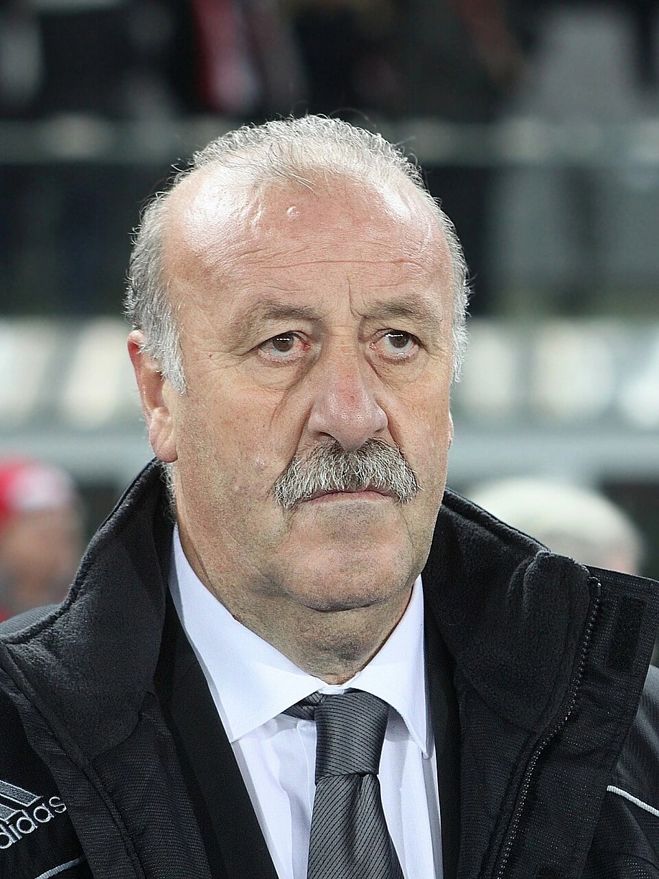 Vicente del Bosque González in a close-up portrait on the touchline, wearing a dark coat and tie.