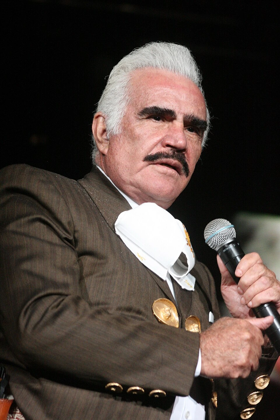 Vicente Fernández Net Worth: Jr and Pesos Explained